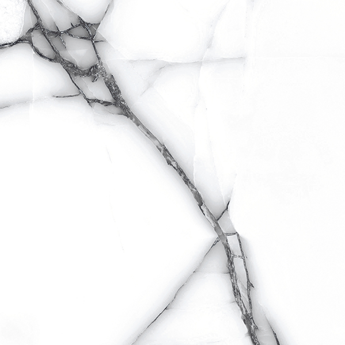ORION ONYX