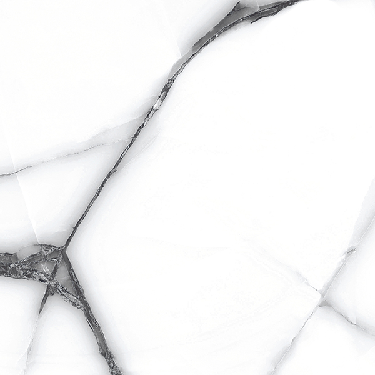 ORION ONYX